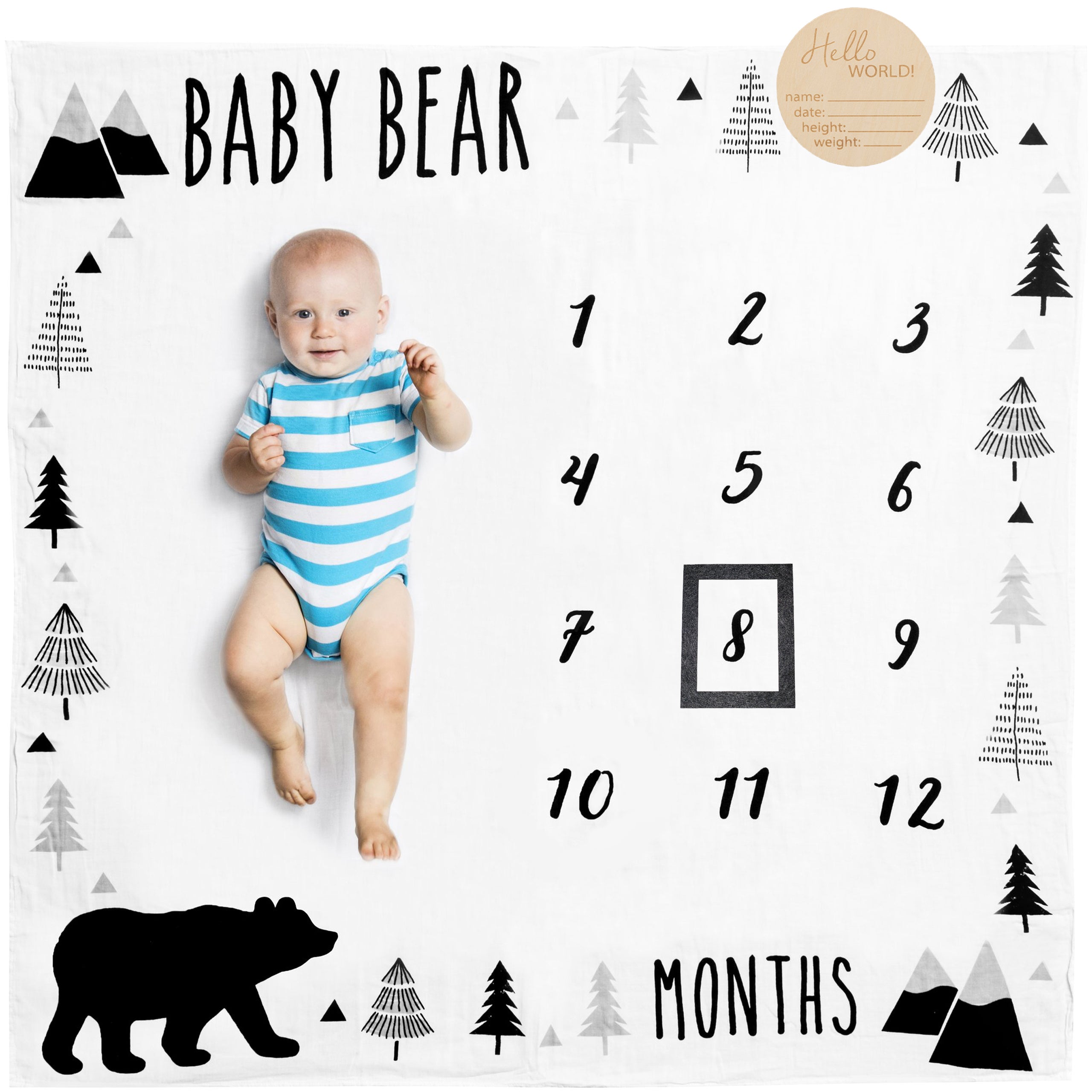 Baby boy 2025 monthly milestone blanket