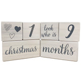 Baby Milestone Blocks - Natural White Stain Pine Wood with Weeks Months Years Grade and Holidays, 6 Block Milestones Age Set with Bag