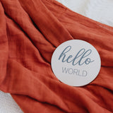 Natural Baby Milestone Discs - White Stain Wood Milestone Disc Set with Bag