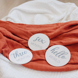 Natural Baby Milestone Discs - White Stain Wood Milestone Disc Set with Bag