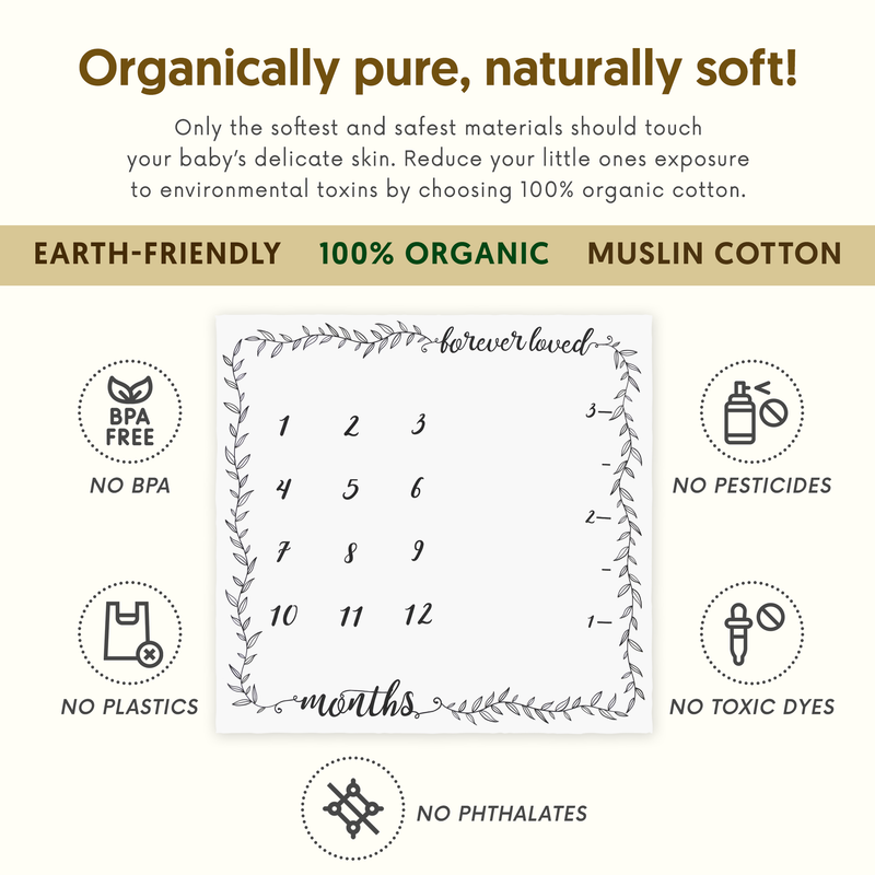 Pondering pine discount milestone blanket