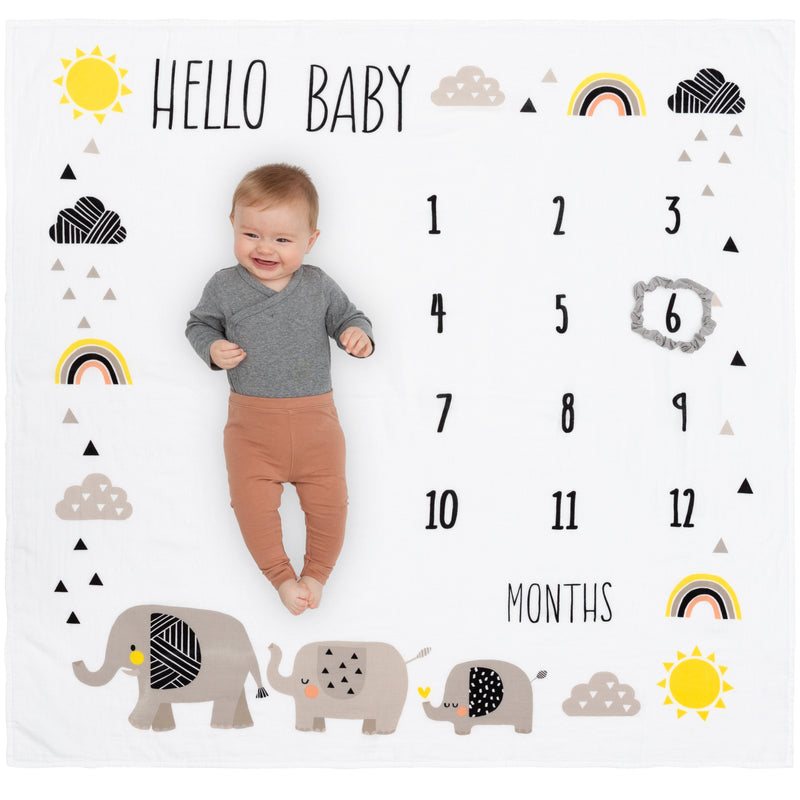 Organic Baby Monthly Milestone Blanket - Elephant Milestone Blanket Baby Boy or Girl with Month Marker - Elephants Milestones Blanket, 1-12 Months