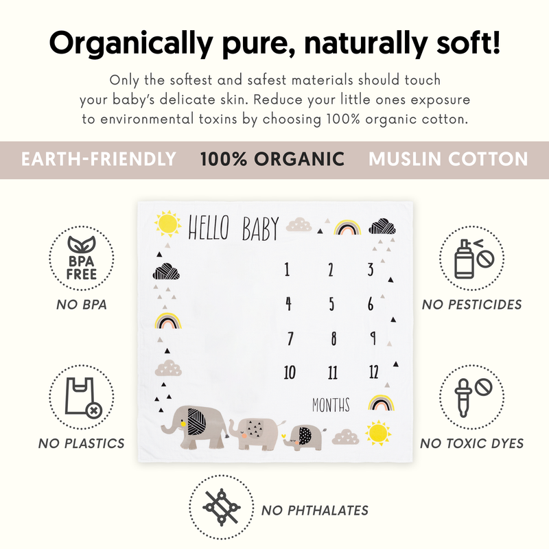 Elephant milestone blanket boy hot sale